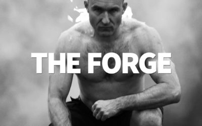 THE FORGE: Full Year's Transformation Program (ONLINE COURSE)