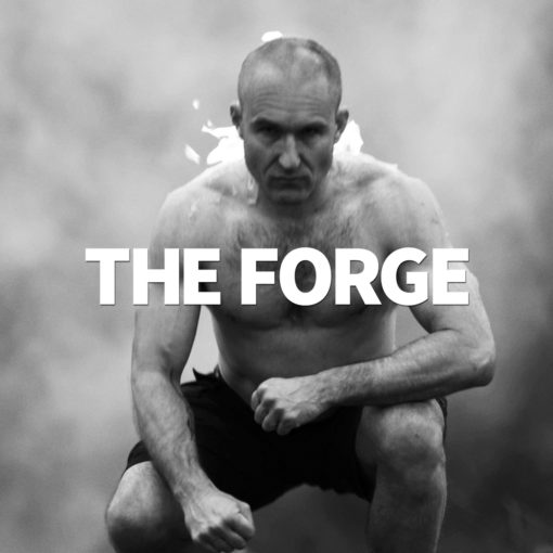 THE FORGE: Full Year's Transformation Program (ONLINE COURSE)