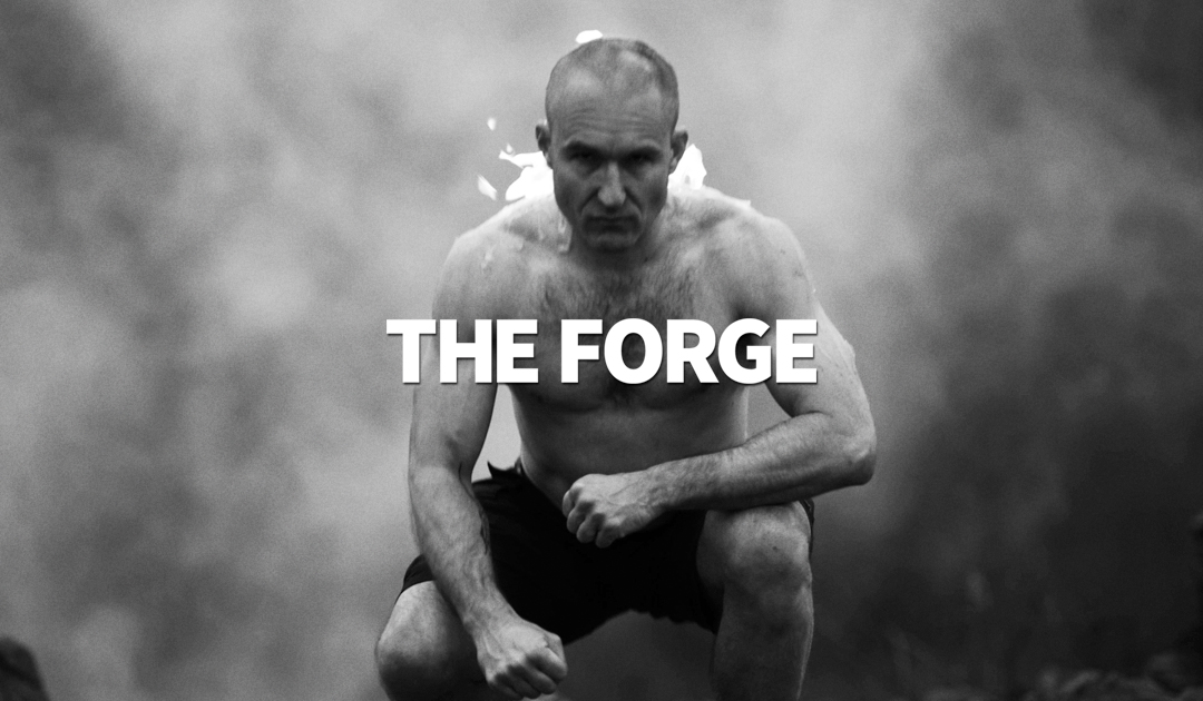 THE FORGE: Full Year's Transformation Program (ONLINE COURSE)