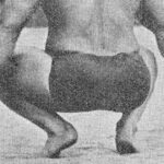 Hindu Squats
